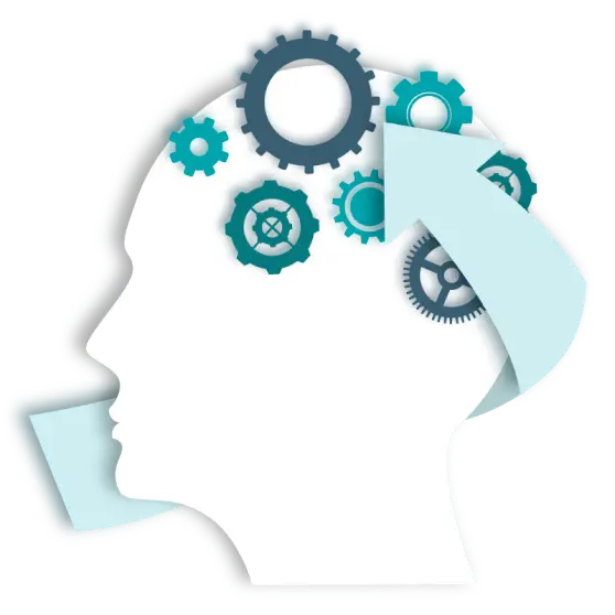 Estructura coaching